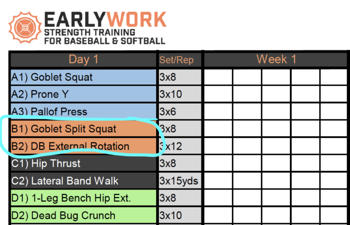 Detailed Guide To Building Great Baseball Workouts