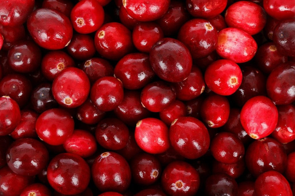 cranberries in different shades of red